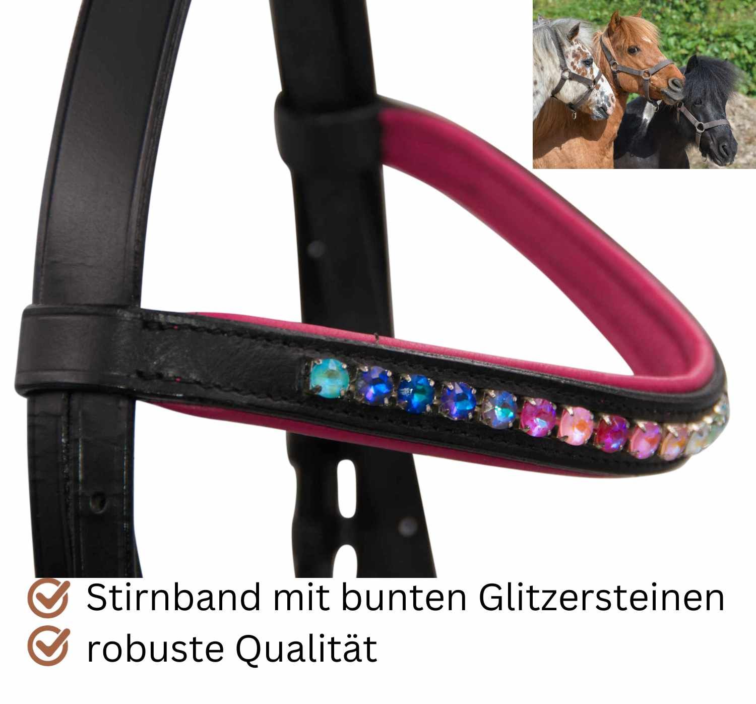 Nahaufnahme Stirnband mit bunten Glitzersteinen. Schwarzer Trensenzaum.
