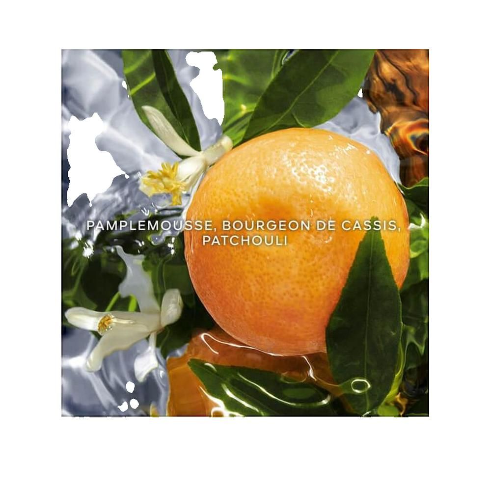 Orange, Blüten und Blätter in Wasser. Text: Pamplemousse, Bourgeon de Cassis, Patchouli.