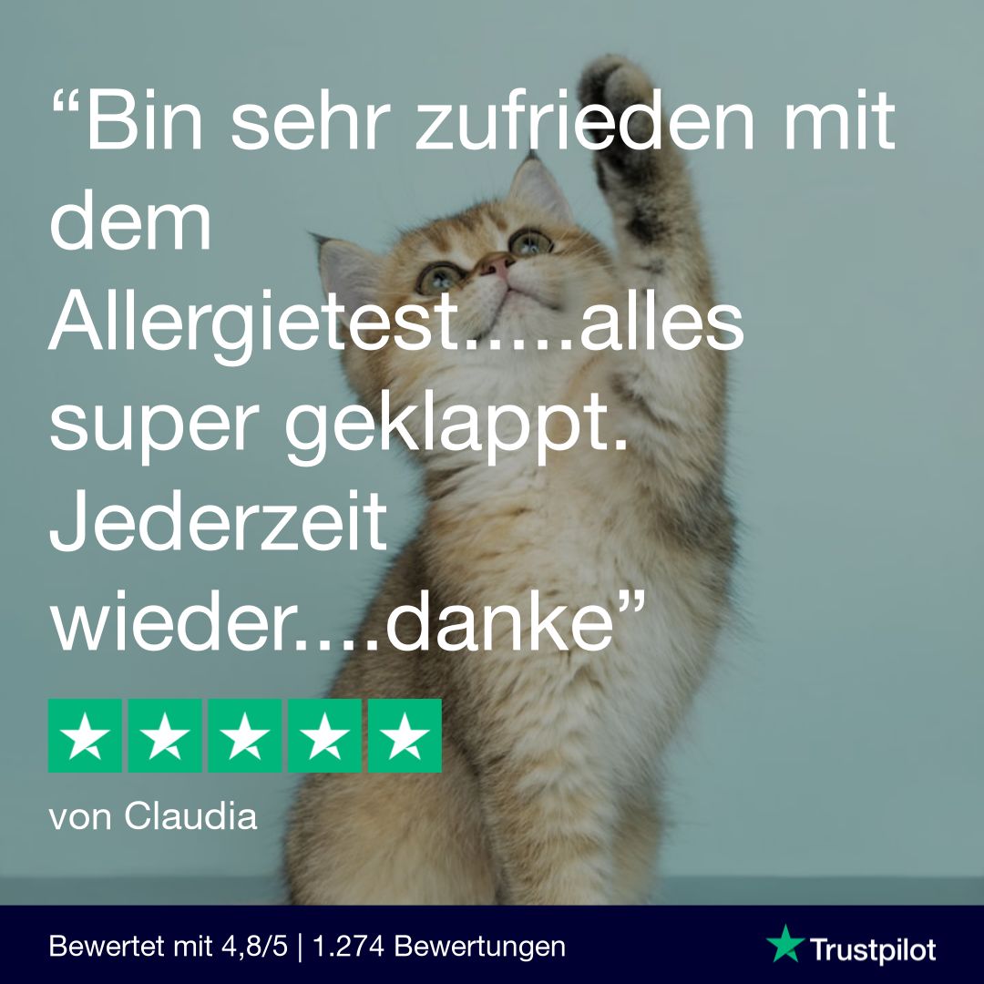 Eine Katze hebt eine Pfote. Im Hintergrund ein Testimonial.