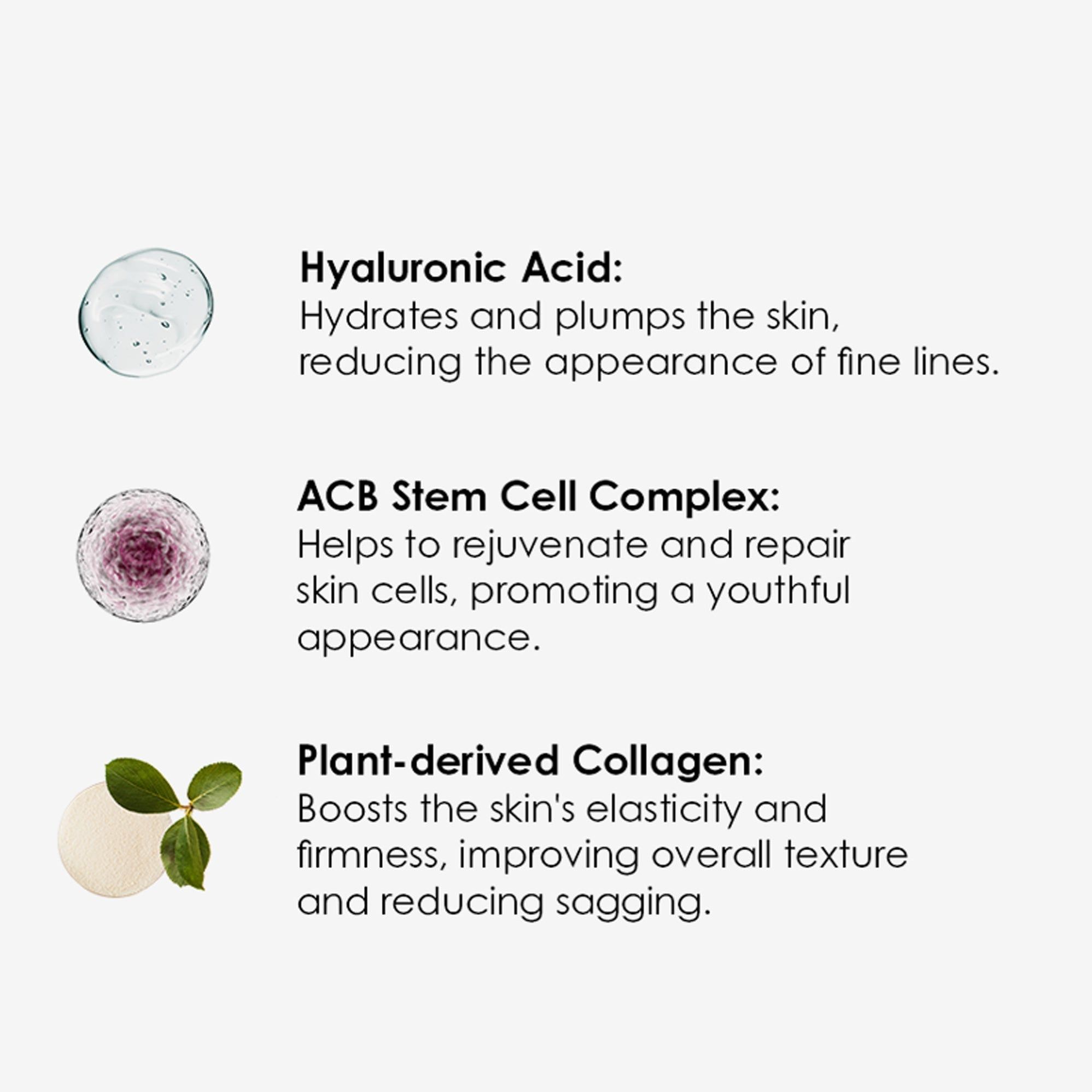Text mit Inhaltsstoffen: Hyaluronsäure, ACB Stem Cell Complex, pflanzliches Kollagen. Keine Produktabbildung.