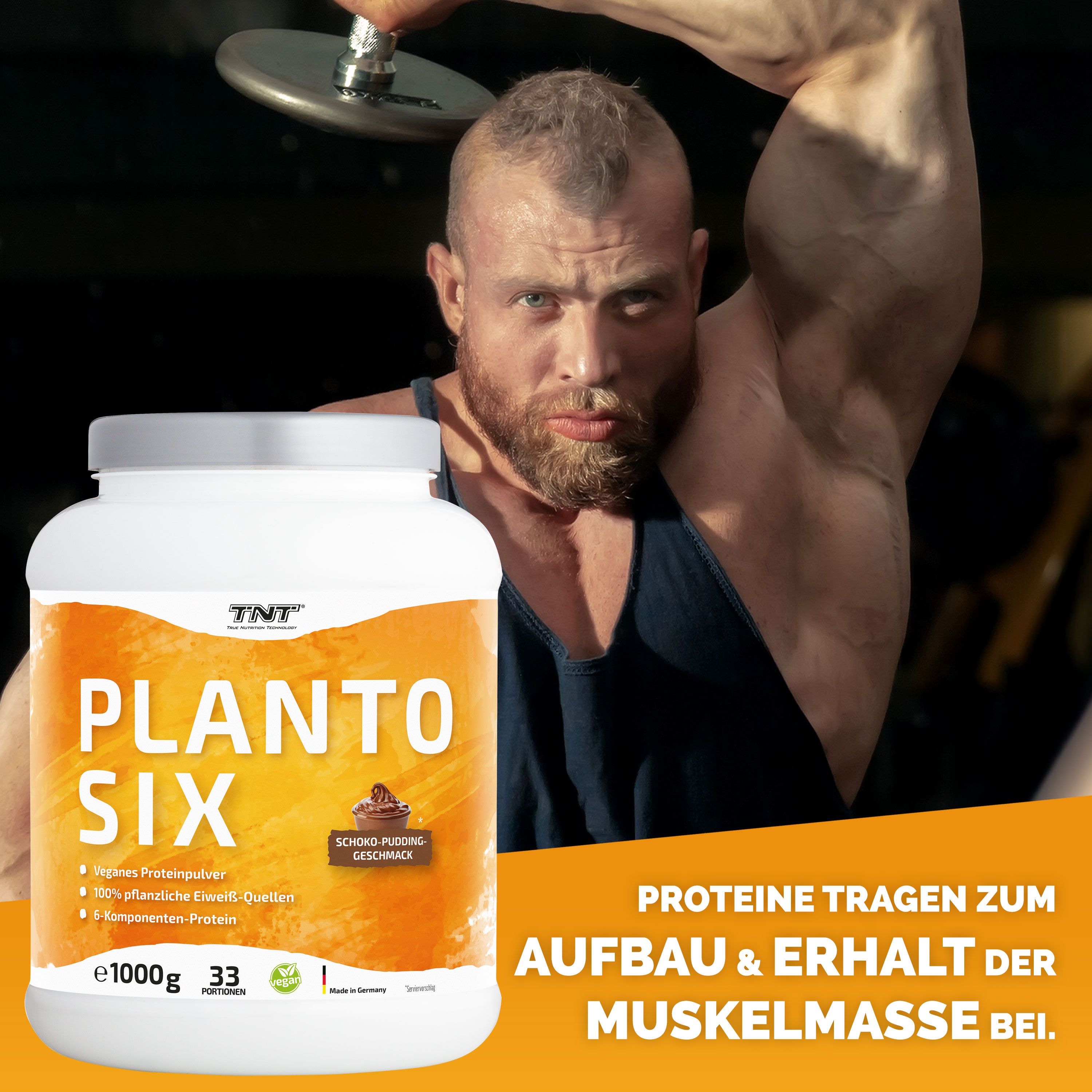 TNT Planto Six, veganes Mehrkomponenten Protein, super cremig und lecker im Schoko-Pudding Geschmack