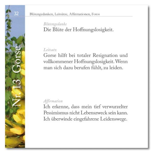 Buchseite mit Text. Überschrift: Nr. 13 Gorse. Textabschnitte zu Blüten, Leitsatz und Affirmation.