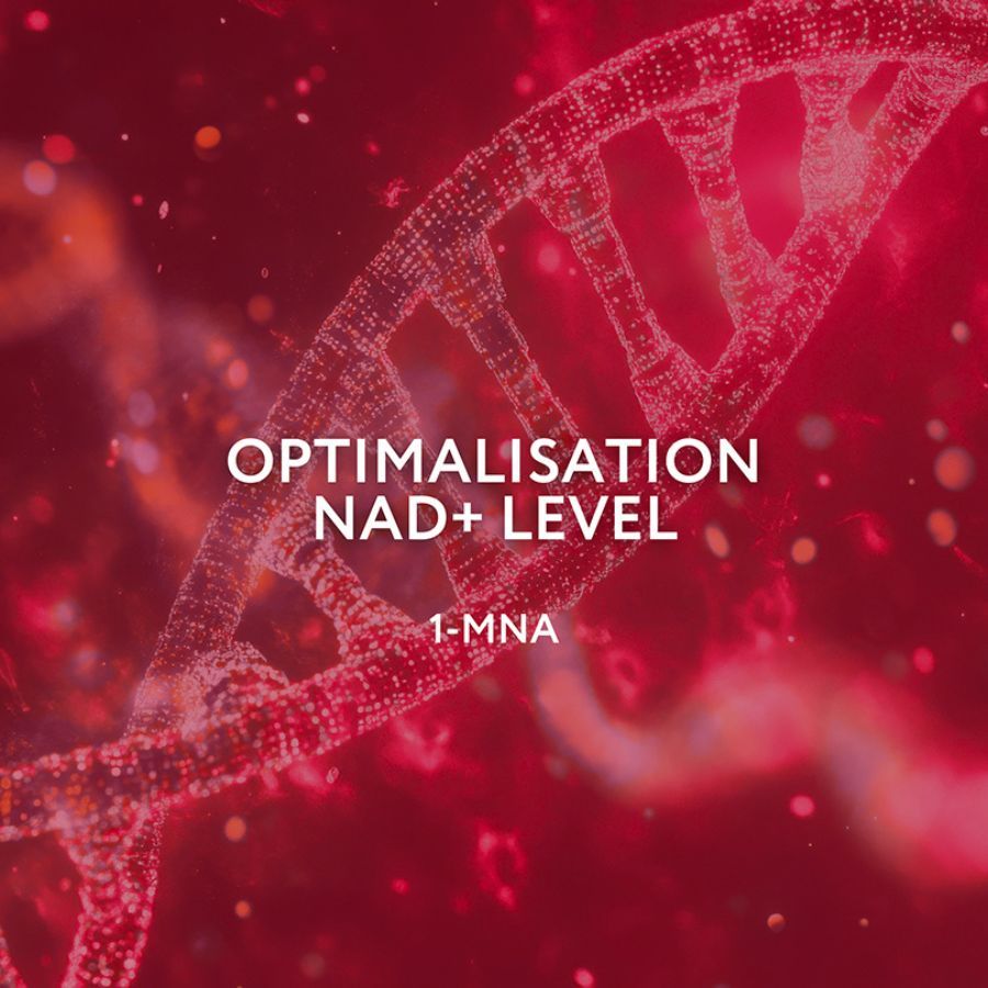 Text: OPTIMALISIERUNG NAD+ LEVEL, 1-MNA. Hintergrund: Rotes, abstraktes Bild einer DNA-Doppelhelix.