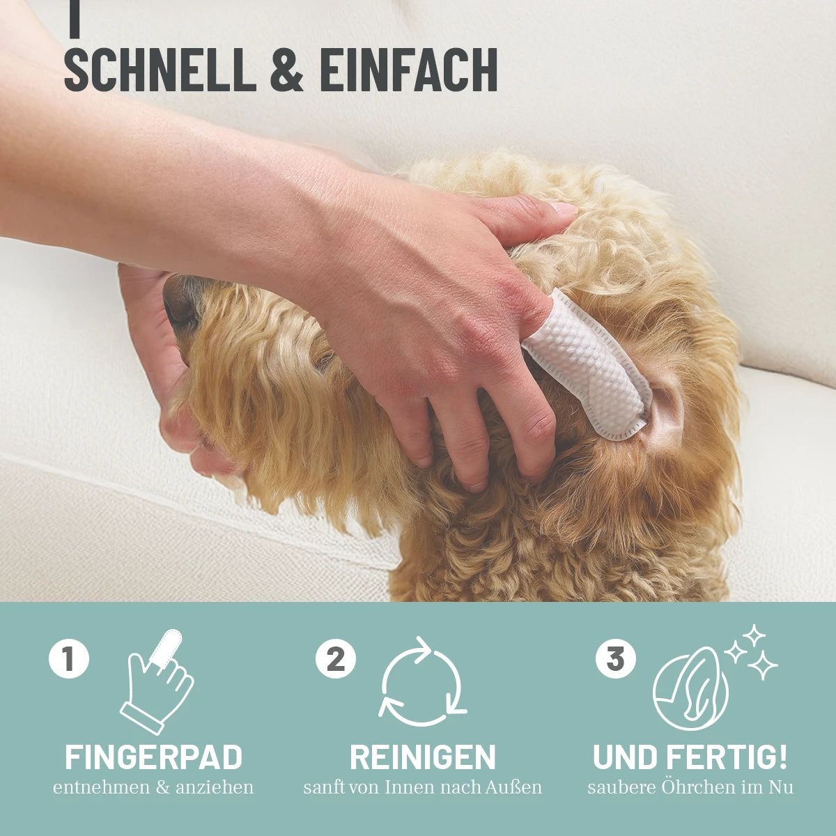 Hände reinigen die Ohren eines Hundes mit einem Finger-Pad. Text: Schnell & Einfach, Fingerpad entnehmen & anziehen, Reinigen, und fertig!