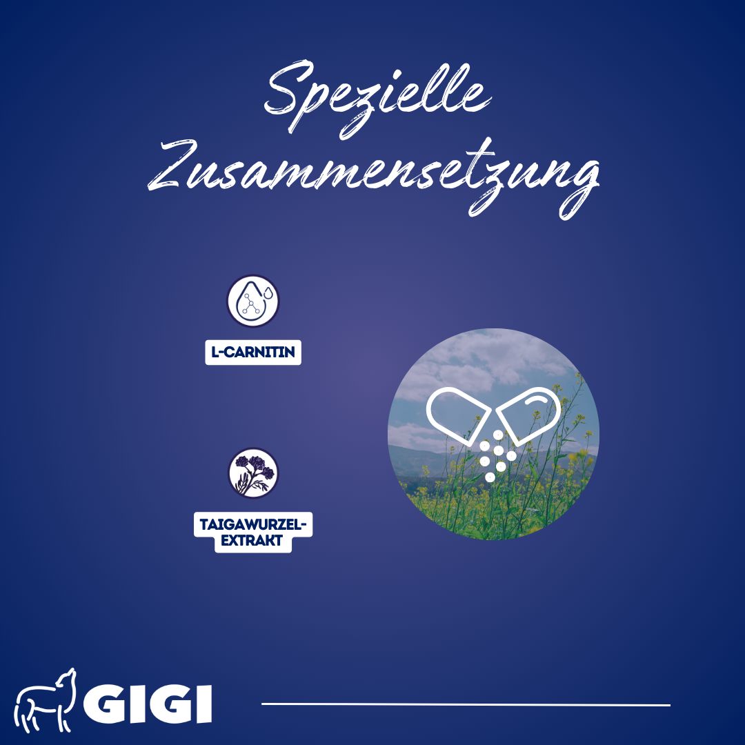 Grafik mit L-Carnitin, Taigawurzel-Extrakt und Kapsel-Symbol. Text: "Spezielle Zusammensetzung".