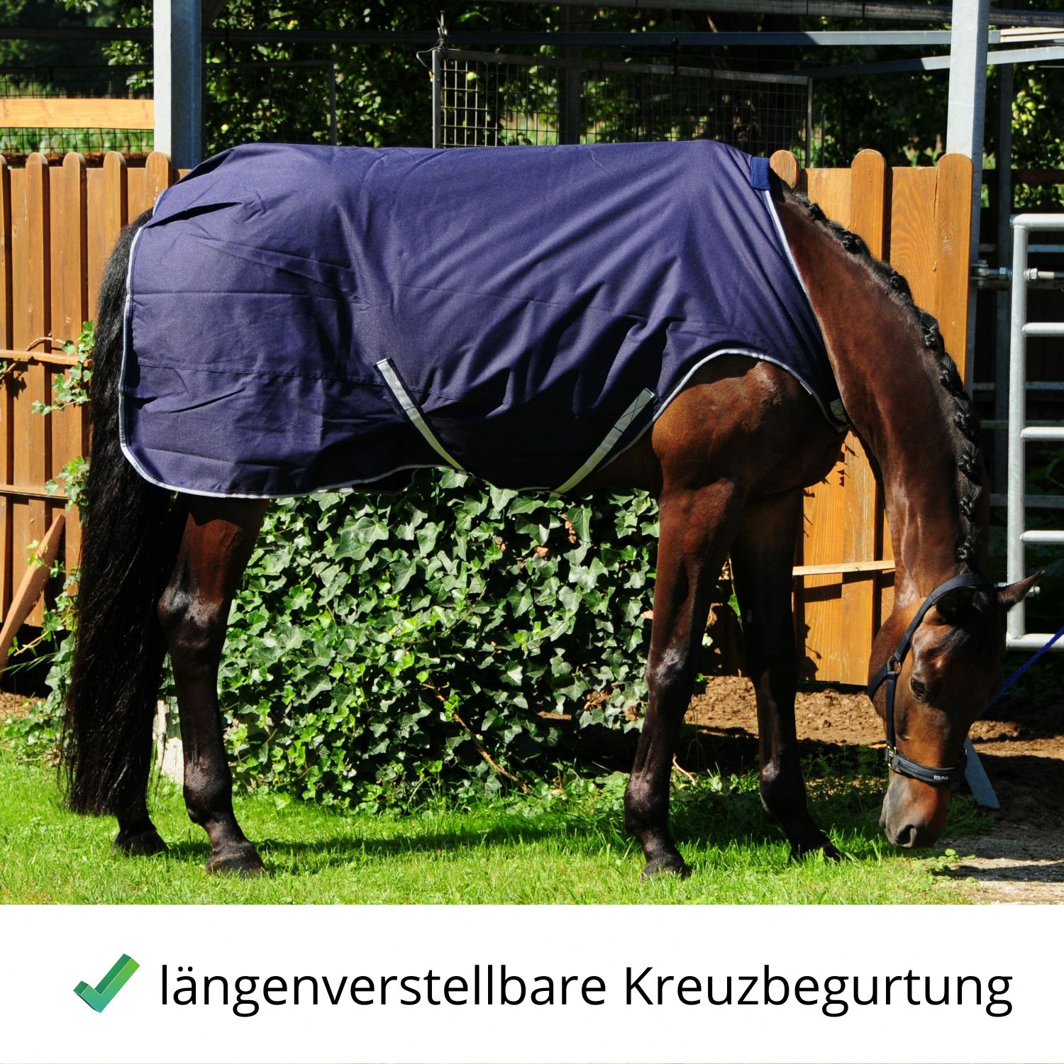 Pferdedecke, dunkelblau mit weißem Rand, auf einem Pferd. Text: längenverstellbare Kreuzbegurtung.
