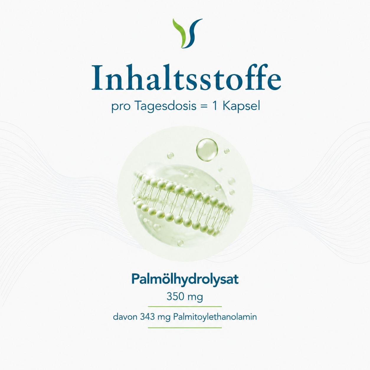 Darstellung von Palmitoylethanolamid (PEA) 350 mg, dem Hauptinhaltsstoff.