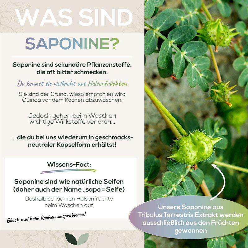 Sanutrition® - Tribulus Extrakt