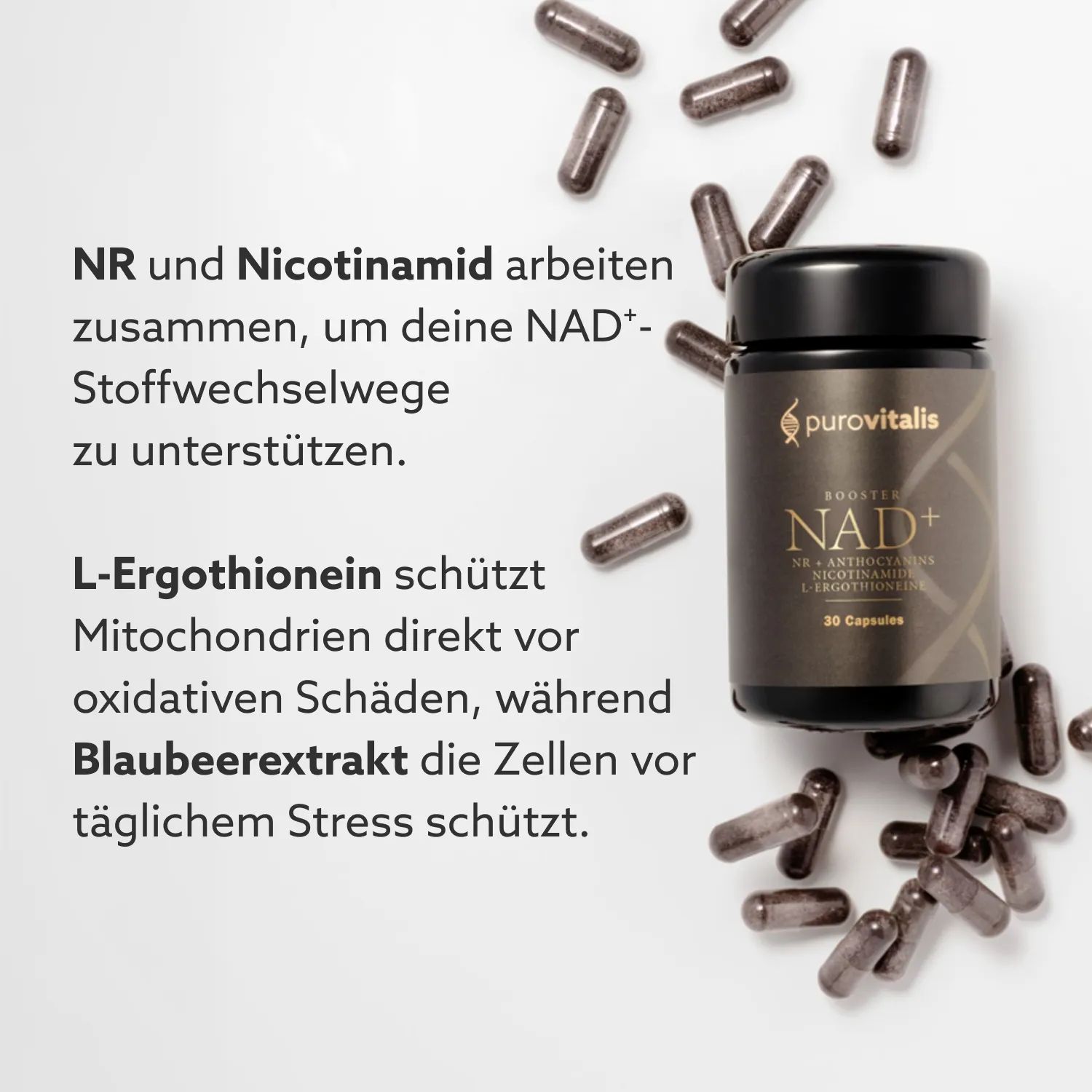 Dose und Kapseln. Text: NR und Nicotinamid unterstützen Stoffwechselwege. L-Ergothionein schützt Mitochondrien. Blaubeerextrakt schützt Zellen.
