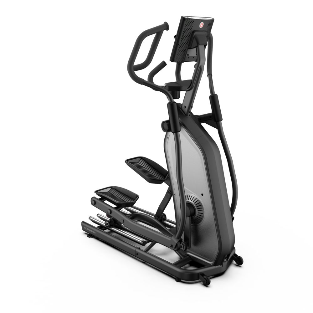 Schwinn Fitness 590E