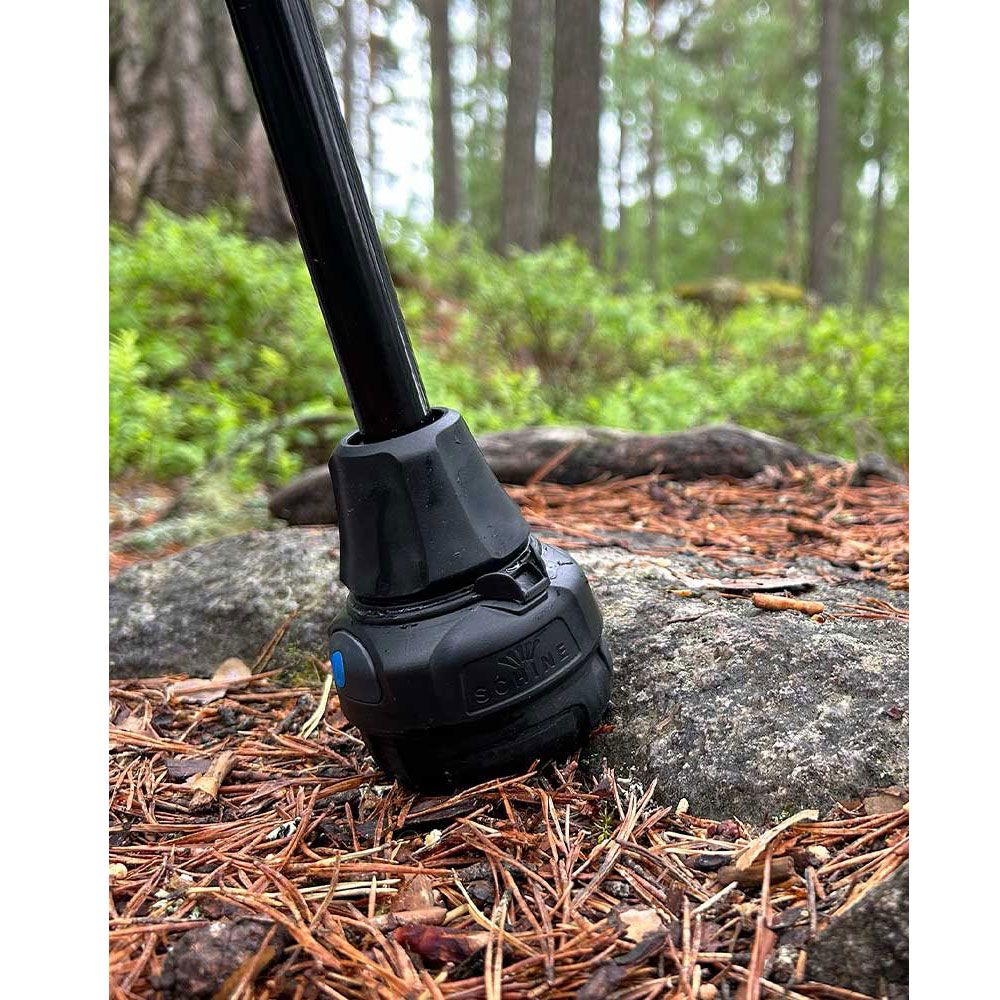 Schwarzer Krückenfuß auf einem Stein im Wald. Graue Gummispitze mit blauem Akzent. Natürlicher Hintergrund.