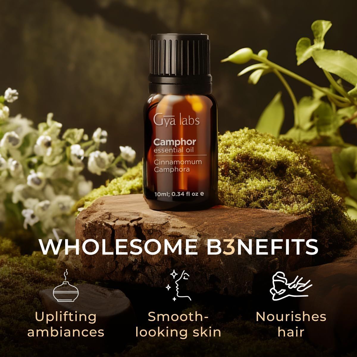 Braune Glasflasche mit schwarzem Deckel. Etikett: Gya Labs, Camphor essential oil, Cinnamomum Camphora. Auf Stein.