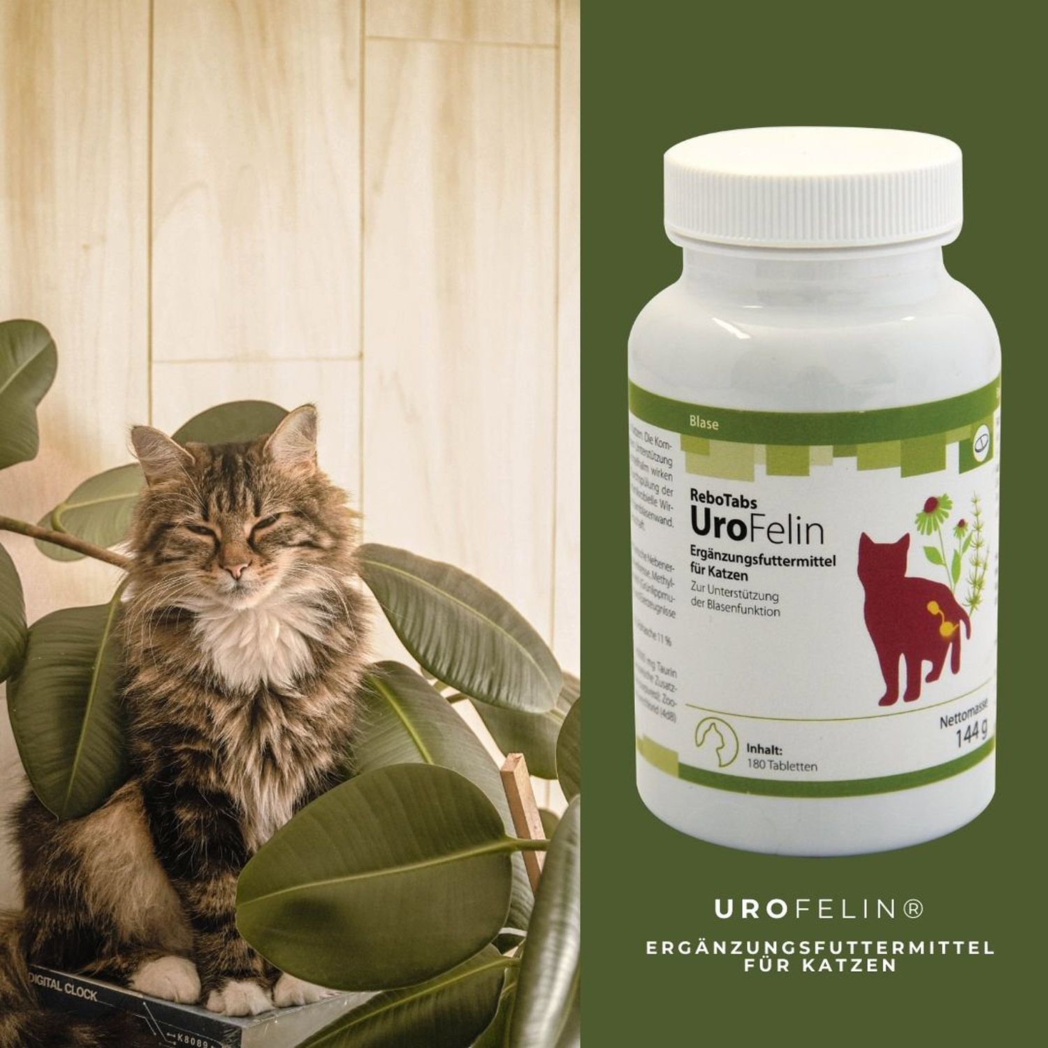 UroFelin für Katzen