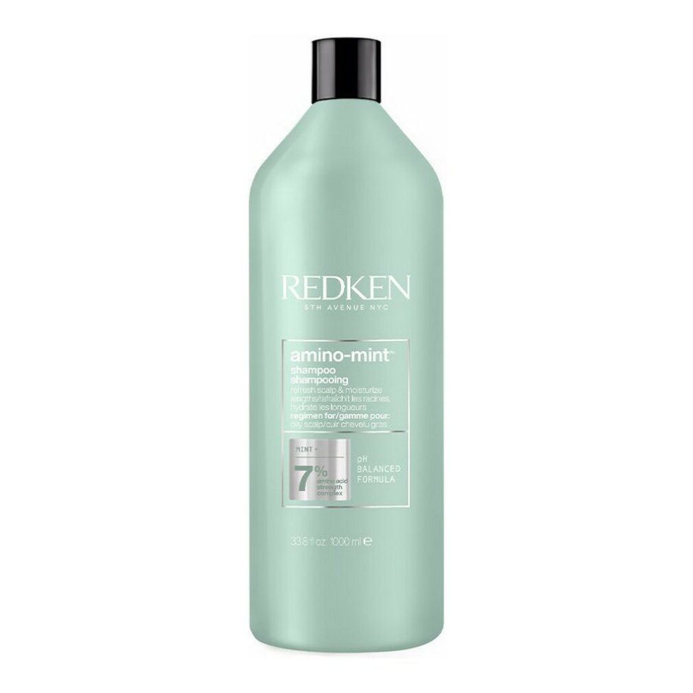 Hellgrüne Shampoo-Flasche mit schwarzem Deckel. Aufschrift Redken, amino-mint Shampoo. pH-Wert 7.