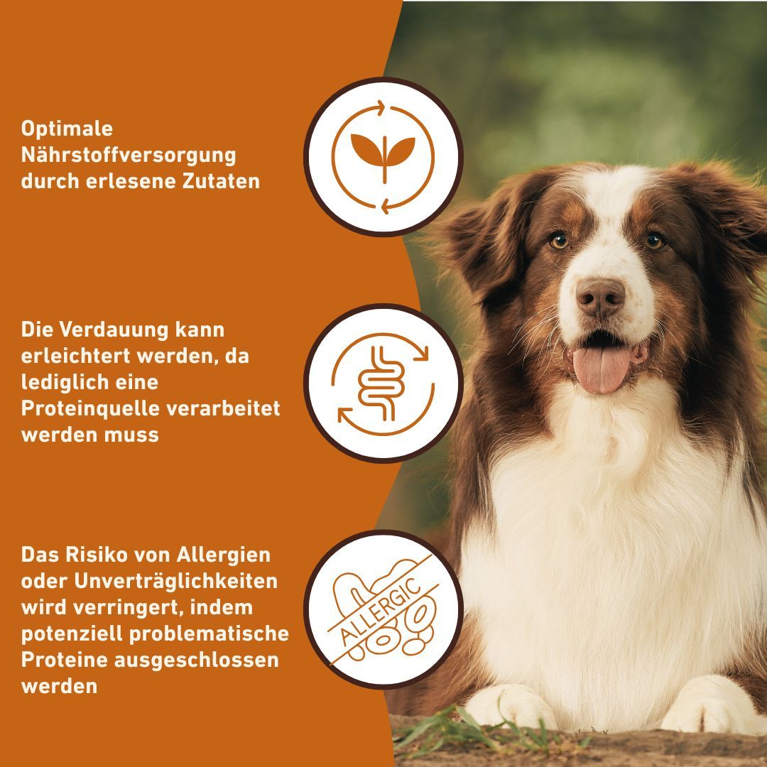 Hund mit Texten: Optimale Nährstoffversorgung, die Verdauung kann erleichtert werden, Risiko von Allergien wird verringert.