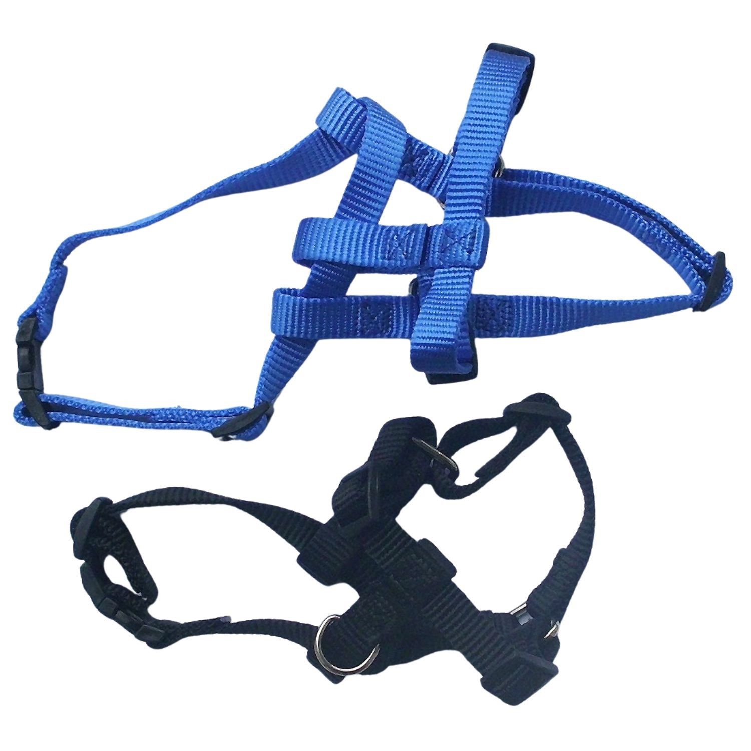 Weaver Hundehalsband Hunt & Sport Plus Premium Geschirrleder, 2,5 cm breit