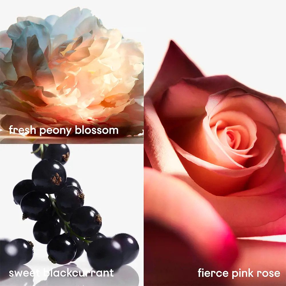 Collage aus Blumen und Beeren: Pfingstrose, schwarze Johannisbeere, rosa Rose.