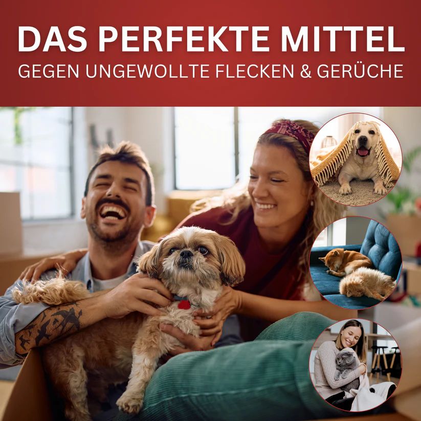 Paar mit Haustieren. Text: Das perfekte Mittel gegen ungewollte Flecken & Gerüche. Hunde, Katzen in verschiedenen Situationen.