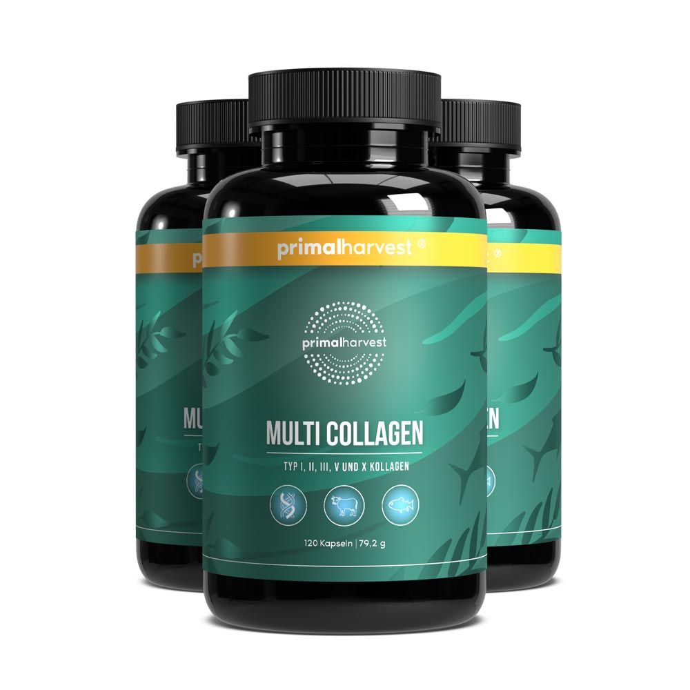 Multi-Collagen Hochdosiert Complex von Primal Harvest®