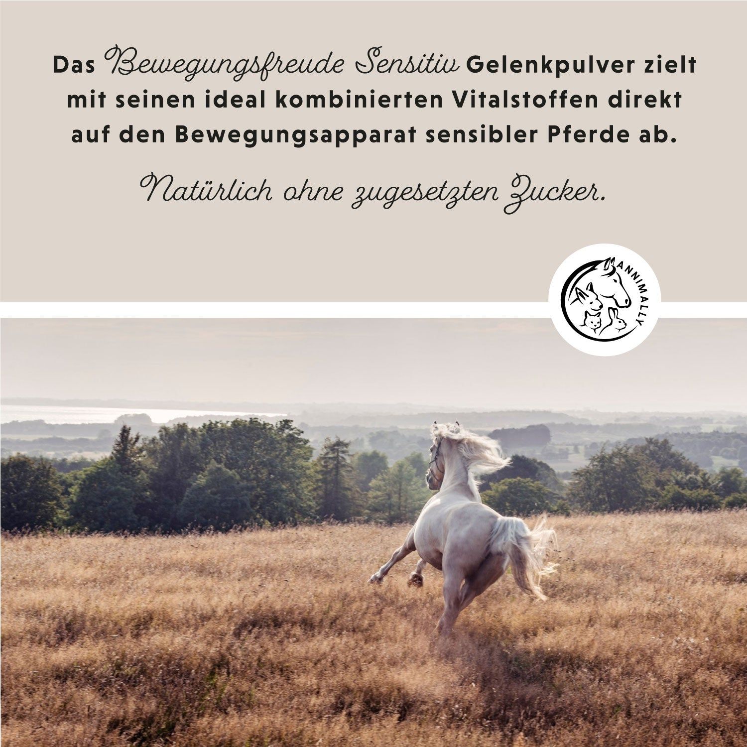 Annimally Bewegungsfreude Sensitiv