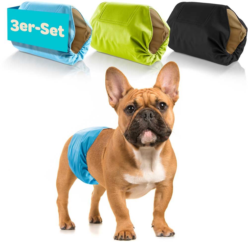 Hund mit Windel, 3er-Set Windeln. Windeln in blau, grün und schwarz. Französische Bulldogge.