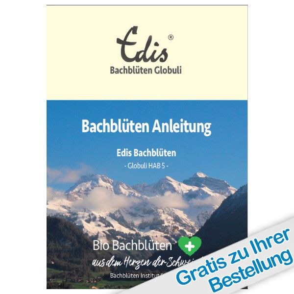 Broschüre mit Titel: Bachblüten Anleitung. Logo: Edis Bachblüten Globuli. Hintergrund: Berglandschaft. Text: Bio Bachblüten.