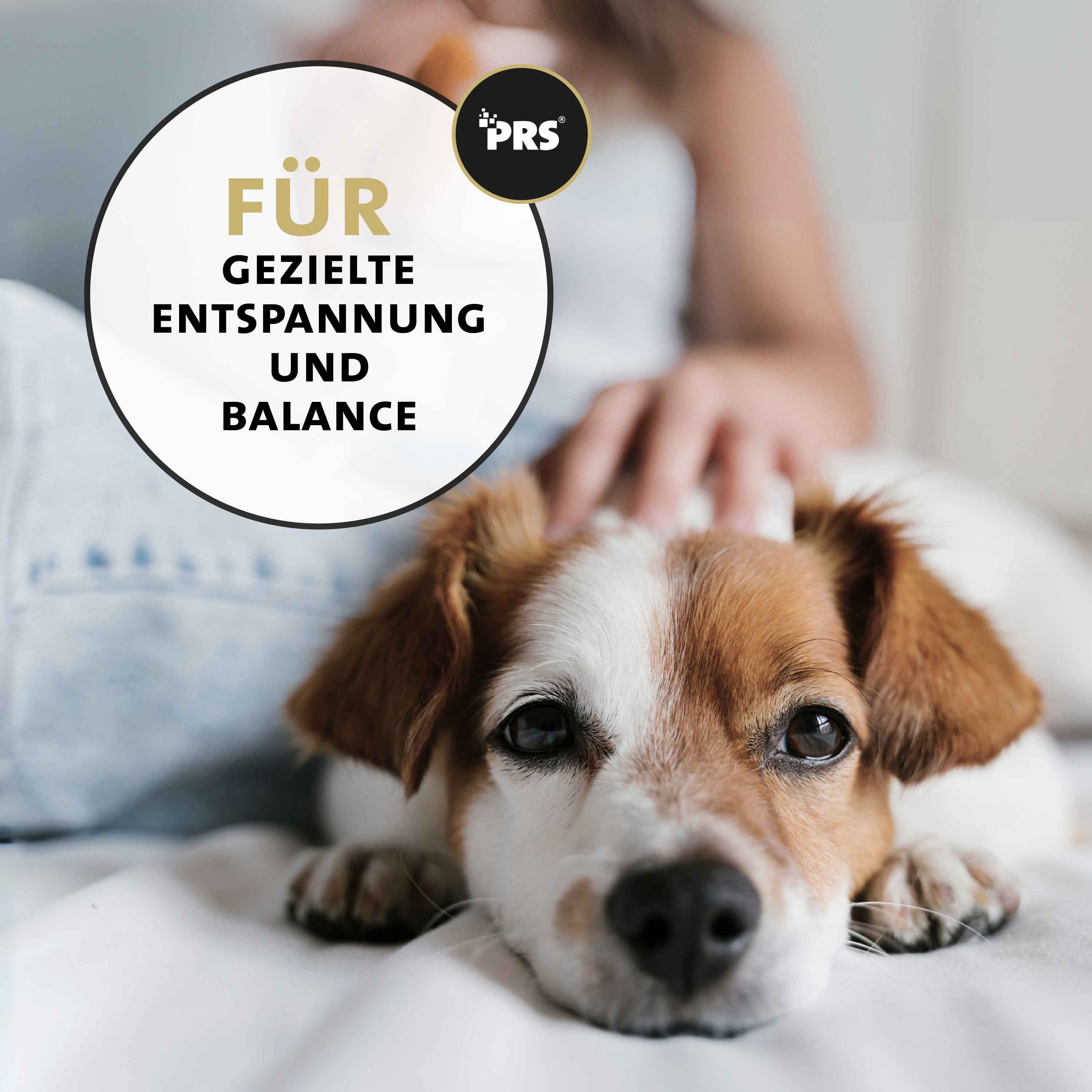 Hund liegt auf Bett. Aufschrift: Für gezielte Entspannung und Balance. PRS-Logo.