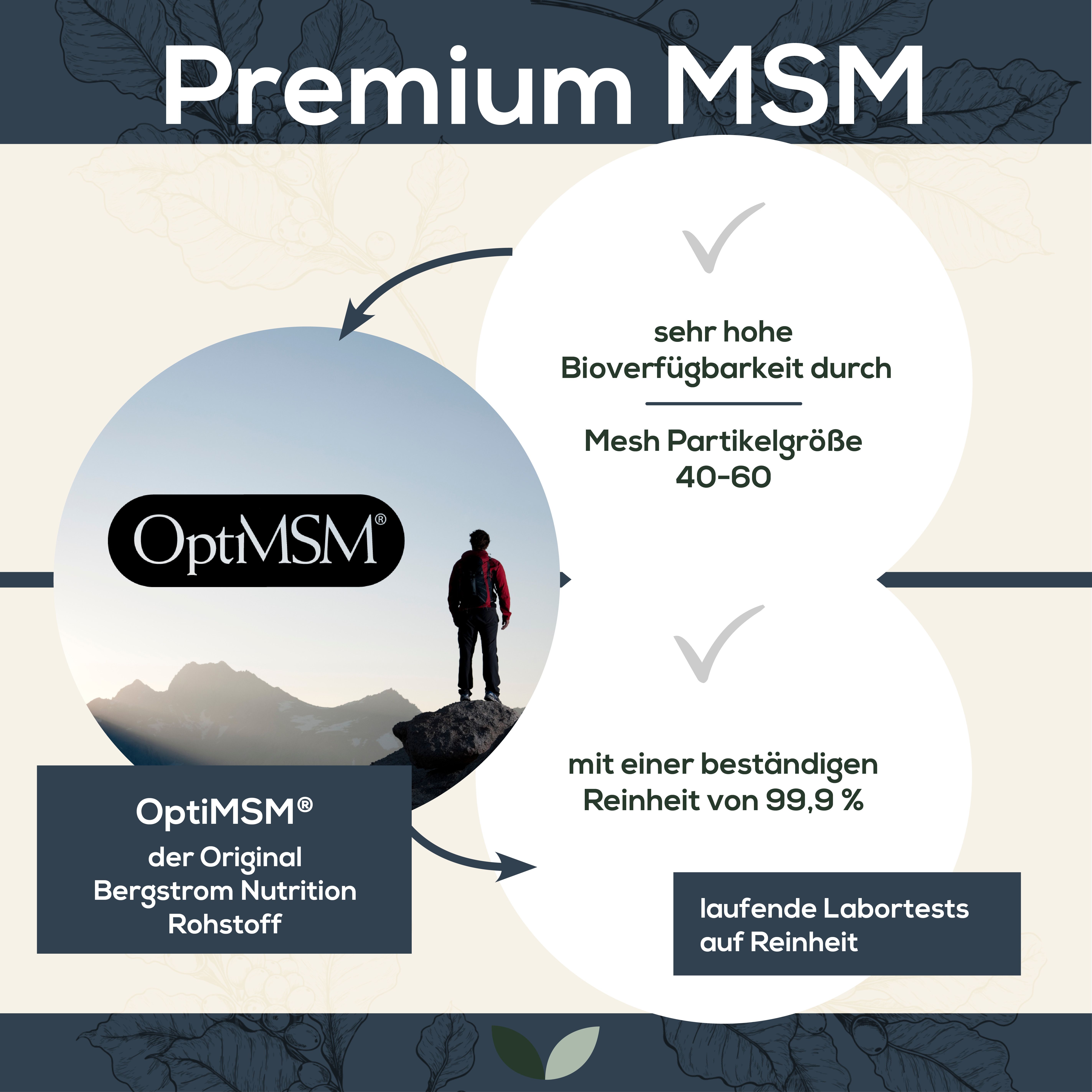 Infografik: OptiMSM® mit hoher Bioverfügbarkeit und Reinheit. Labor-Tests. Original Bergstrom Nutrition Rohstoff.