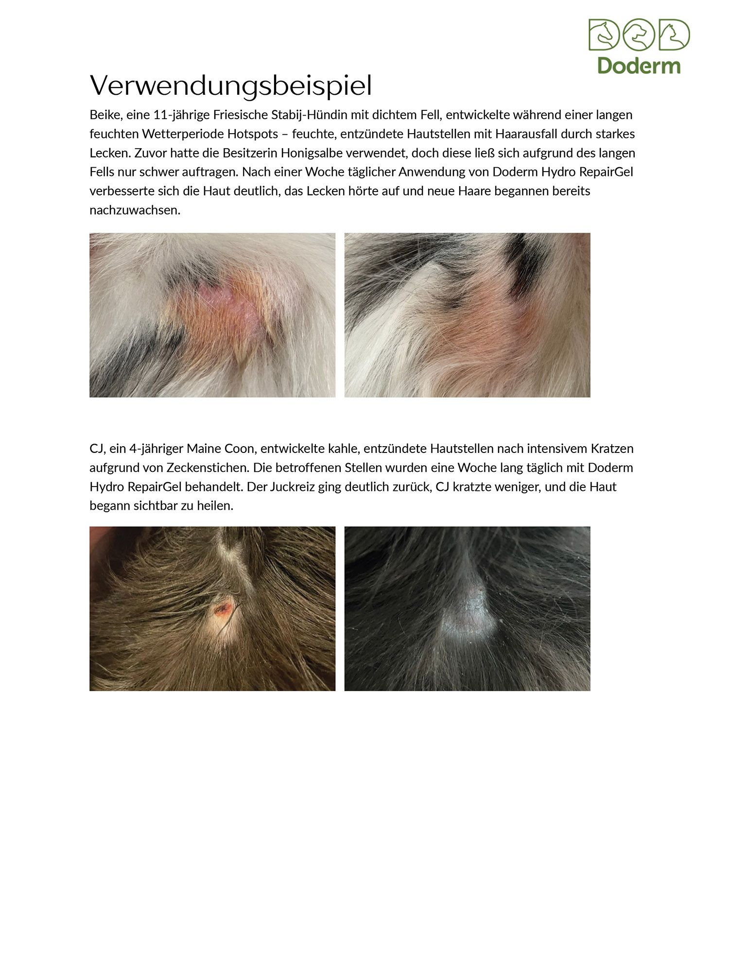 Doderm RepairGel Pet