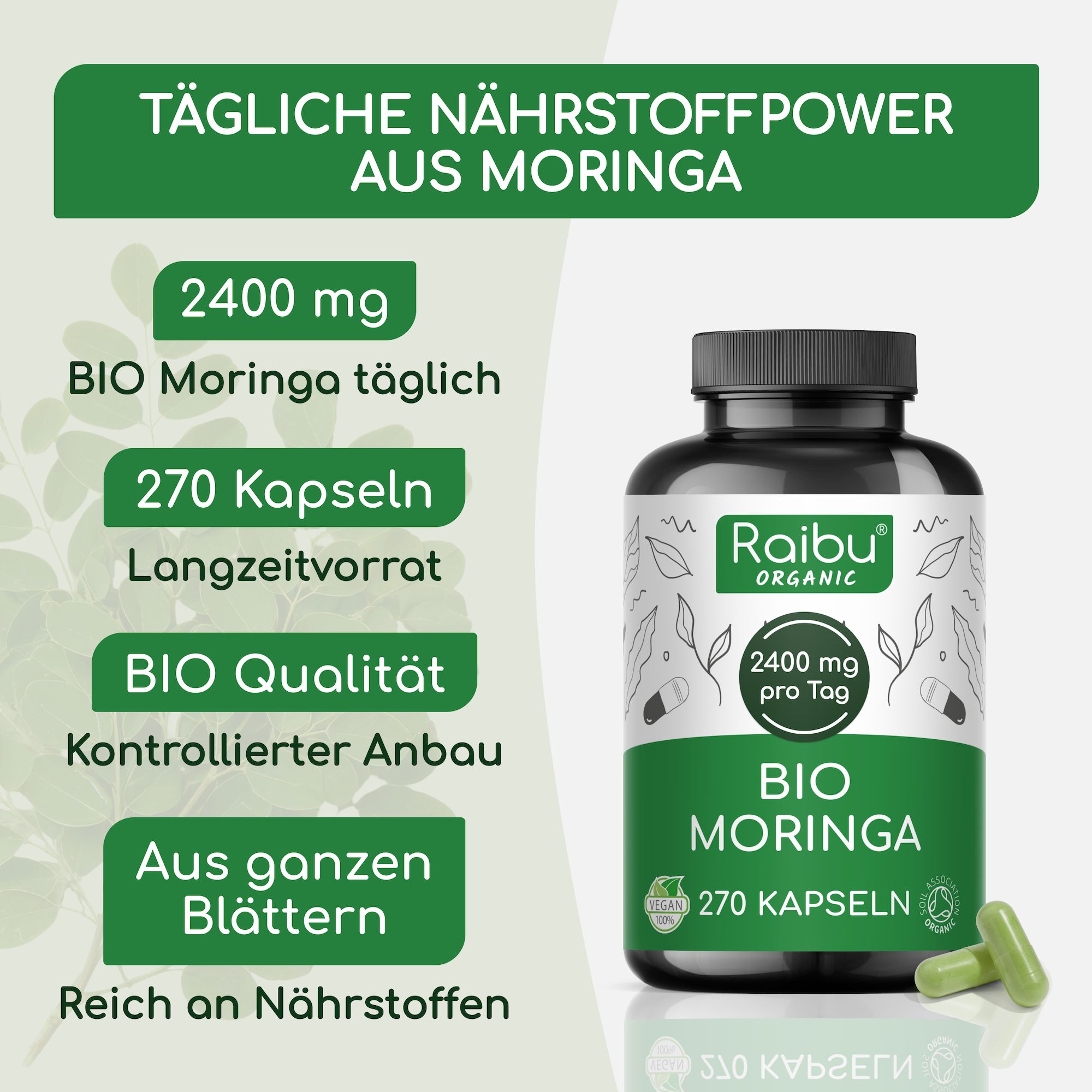 Bio Moringa Kapseln hochdosiert 2400 mg - vegane, laborgeprüft, glutenfrei & laktosefrei - RAIBU
