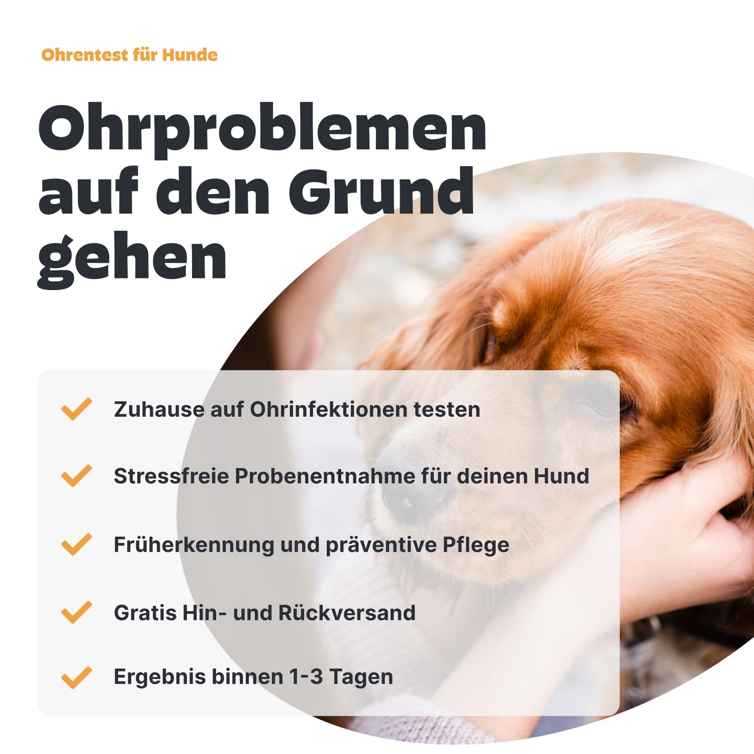 Infografik mit Checklisten. Testen von Ohrinfektionen zu Hause, stressfreie Probenentnahme, Früherkennung, Gratisversand, Ergebnis.