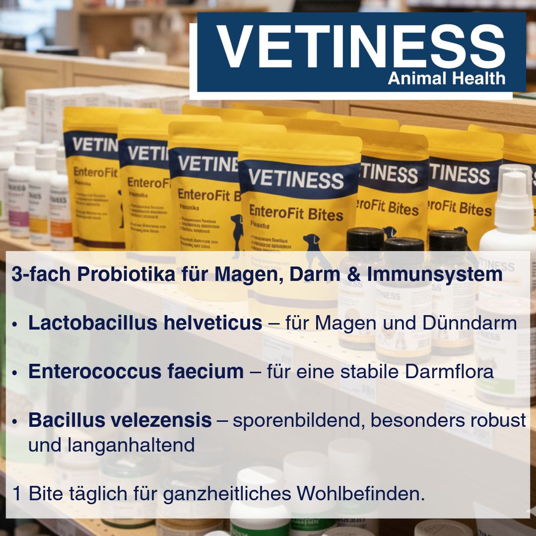 Gelbe Beutel mit "VETINESS EnteroFit Bites". Text: 3-fach Probiotika, Lactobacillus helveticus, Enterococcus faecium, Bacillus velezensis. 1 Bite täglich.