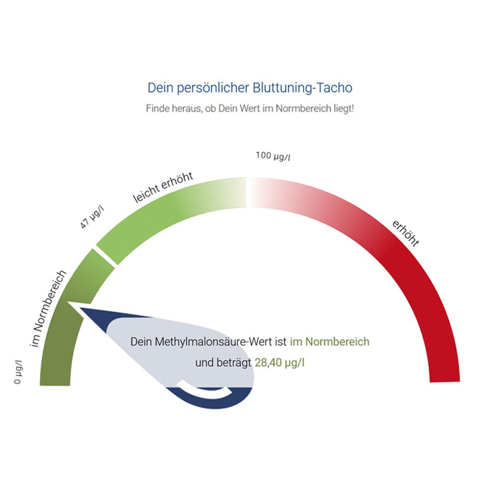 Grafik eines persönlichen Blutwert-Tachos für Methylmalonsäure.