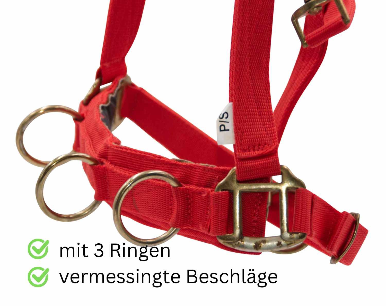 Nahaufnahme eines roten Kappzaums mit 3 Ringen und Messingbeschlägen.