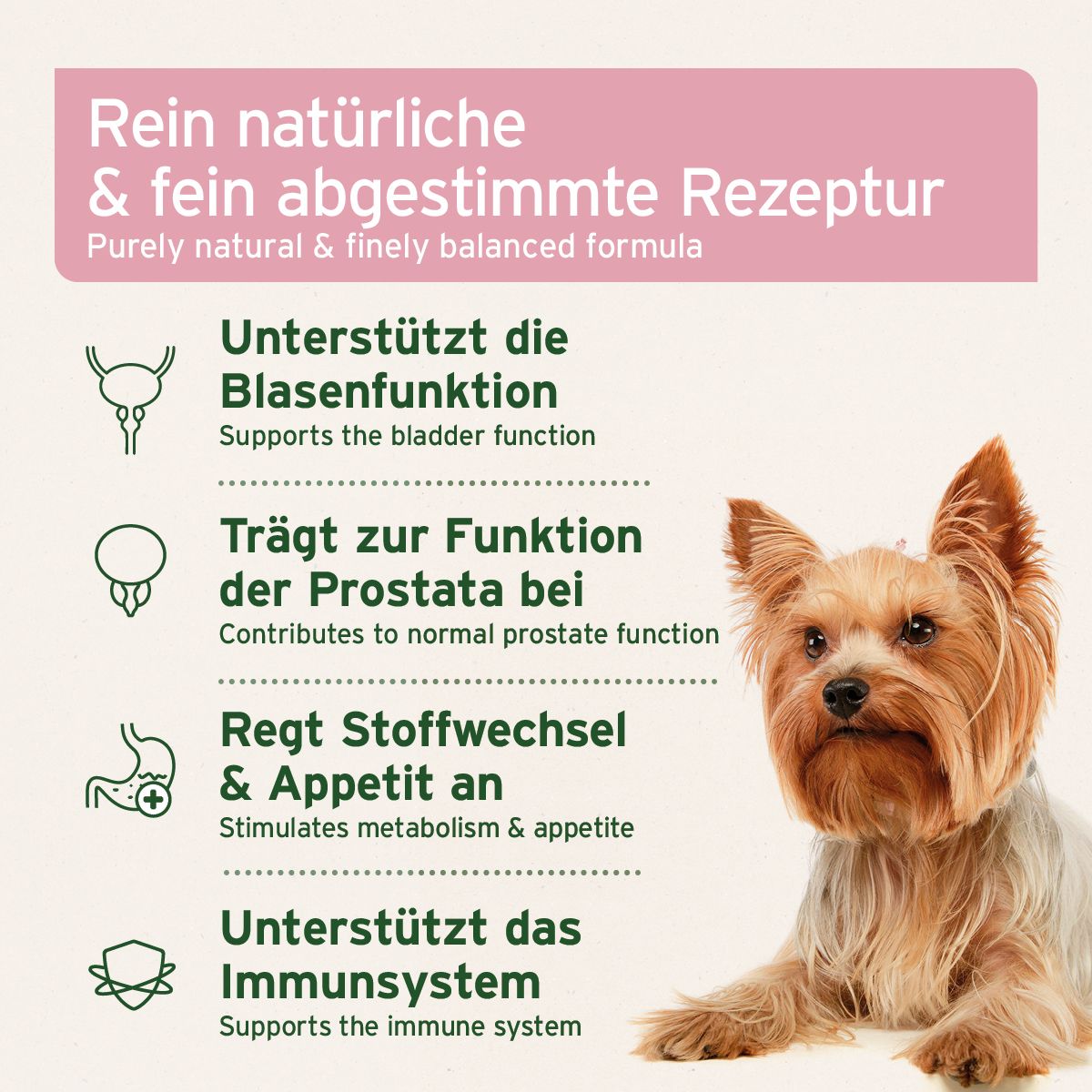 Hund mit Text. Text: Rein natürliche & fein abgestimmte Rezeptur. Unterstützt die Blasenfunktion.