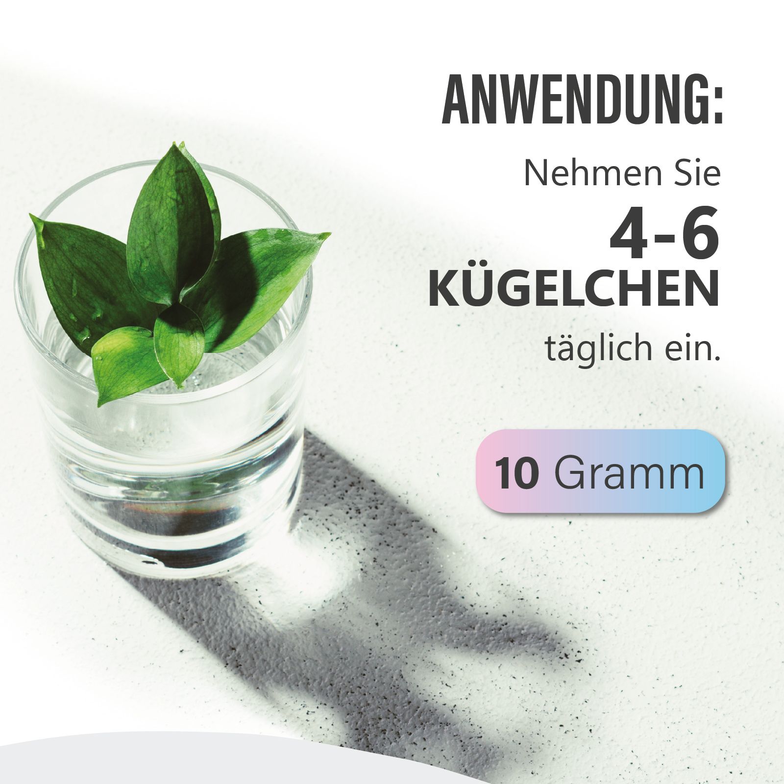 Glas mit Wasser und Blättern. Text: Nehmen Sie 4-6 Kügelchen täglich ein. 10 Gramm. Hintergrund: weiß.