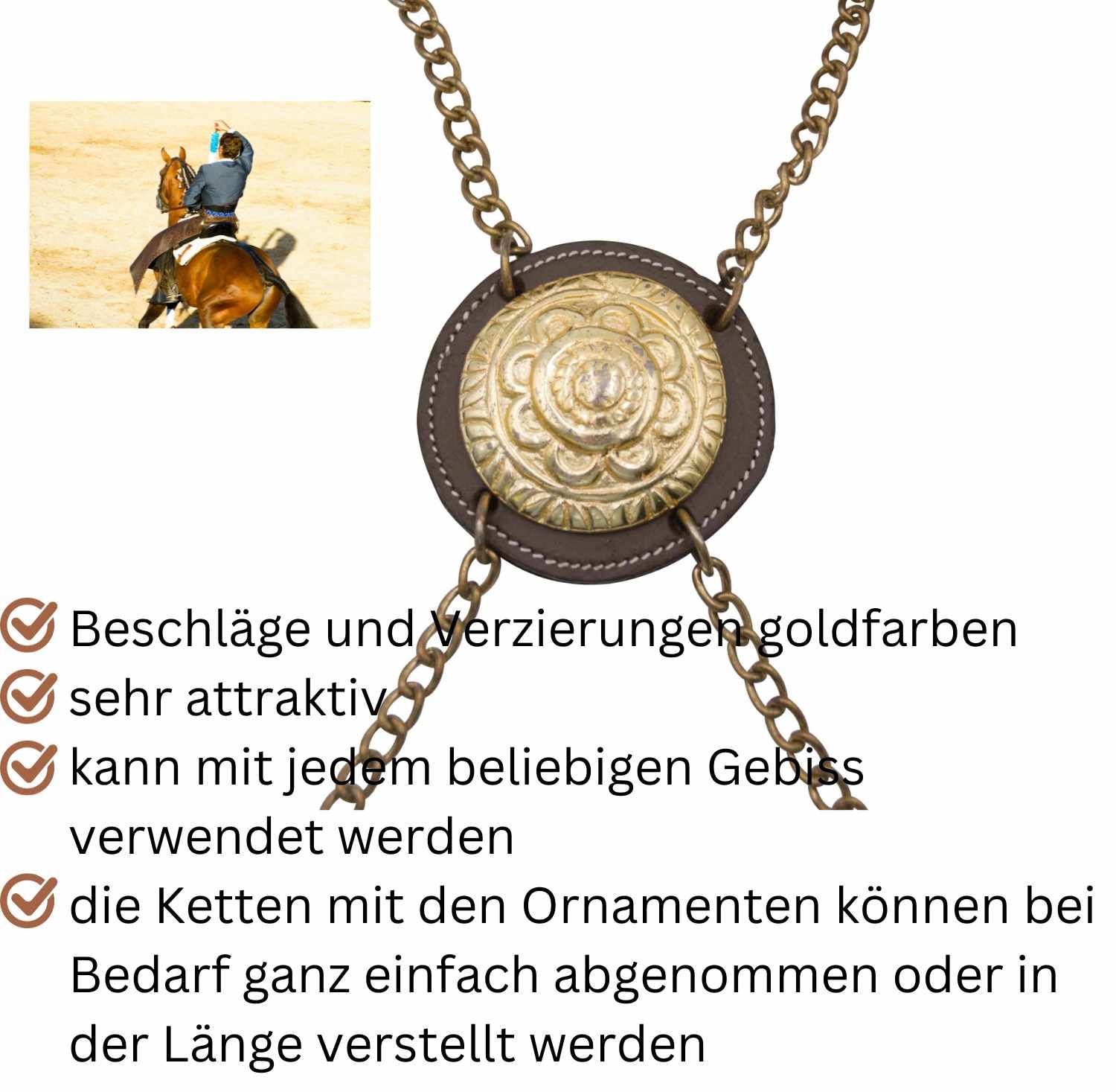 Trense mit goldfarbenen Beschlägen und Verzierungen. Text: Beschläge und Verzierungen goldfarben, sehr attraktiv.
