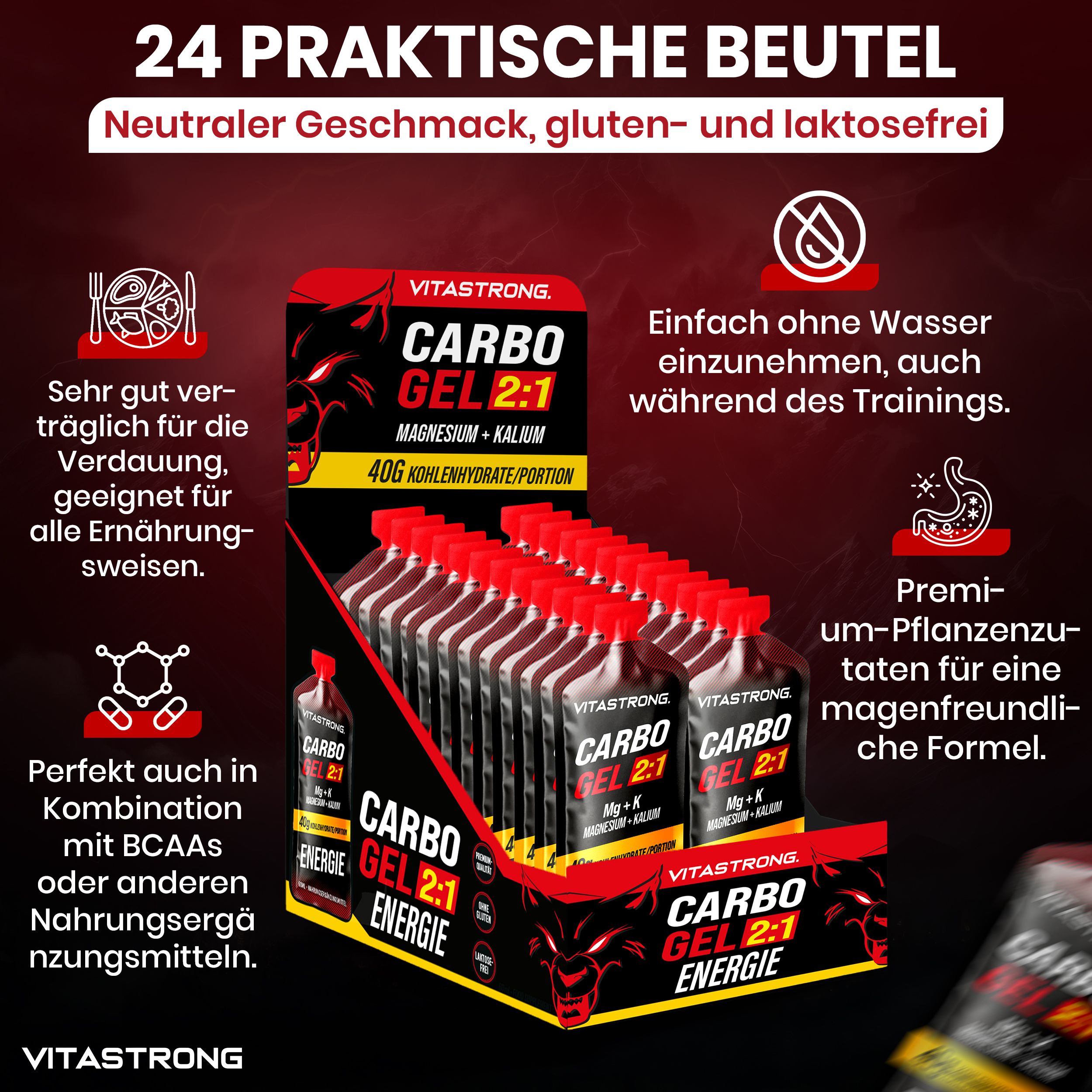 Vitastrong CARBO GEL 2:1. Displaybox mit Einzelportionen. 24 Beutel. Text: Glutenfrei, laktosefrei. Für Verdauung. Ohne Wasser.