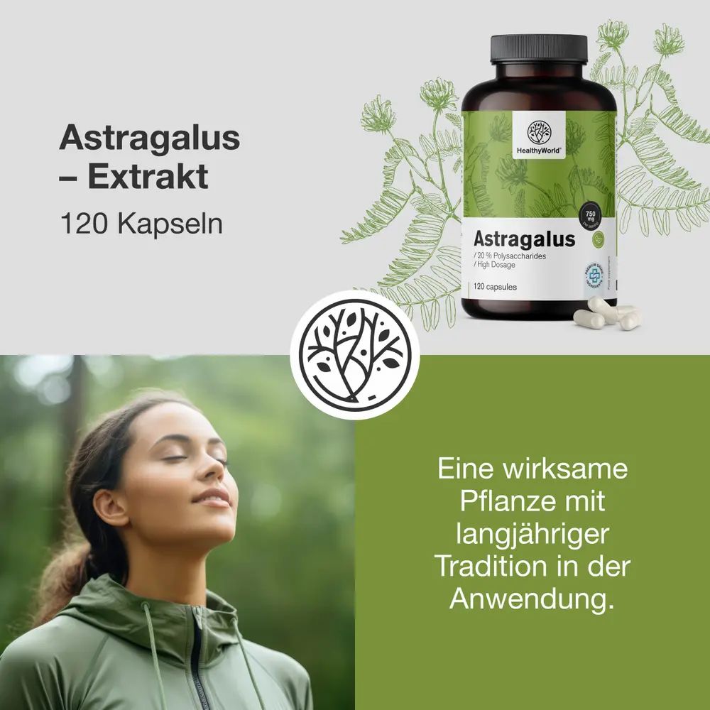 Drei Flaschen mit Astragalus-Extrakt auf grünem Hintergrund.
