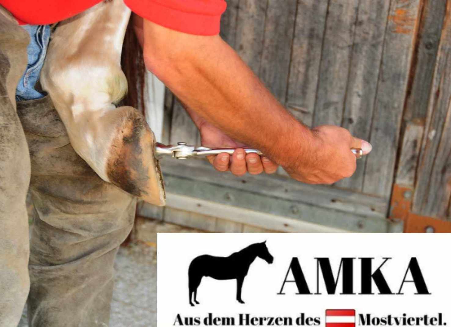 Person hält Werkzeug an einem Huf. AMKA Logo. Text: Aus dem Herzen des Mostviertels.