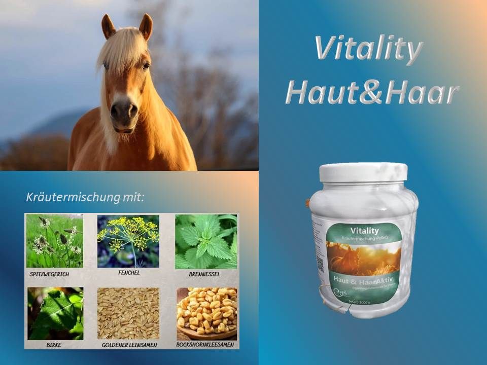 Vitality Haut&HaarAktiv Pellets