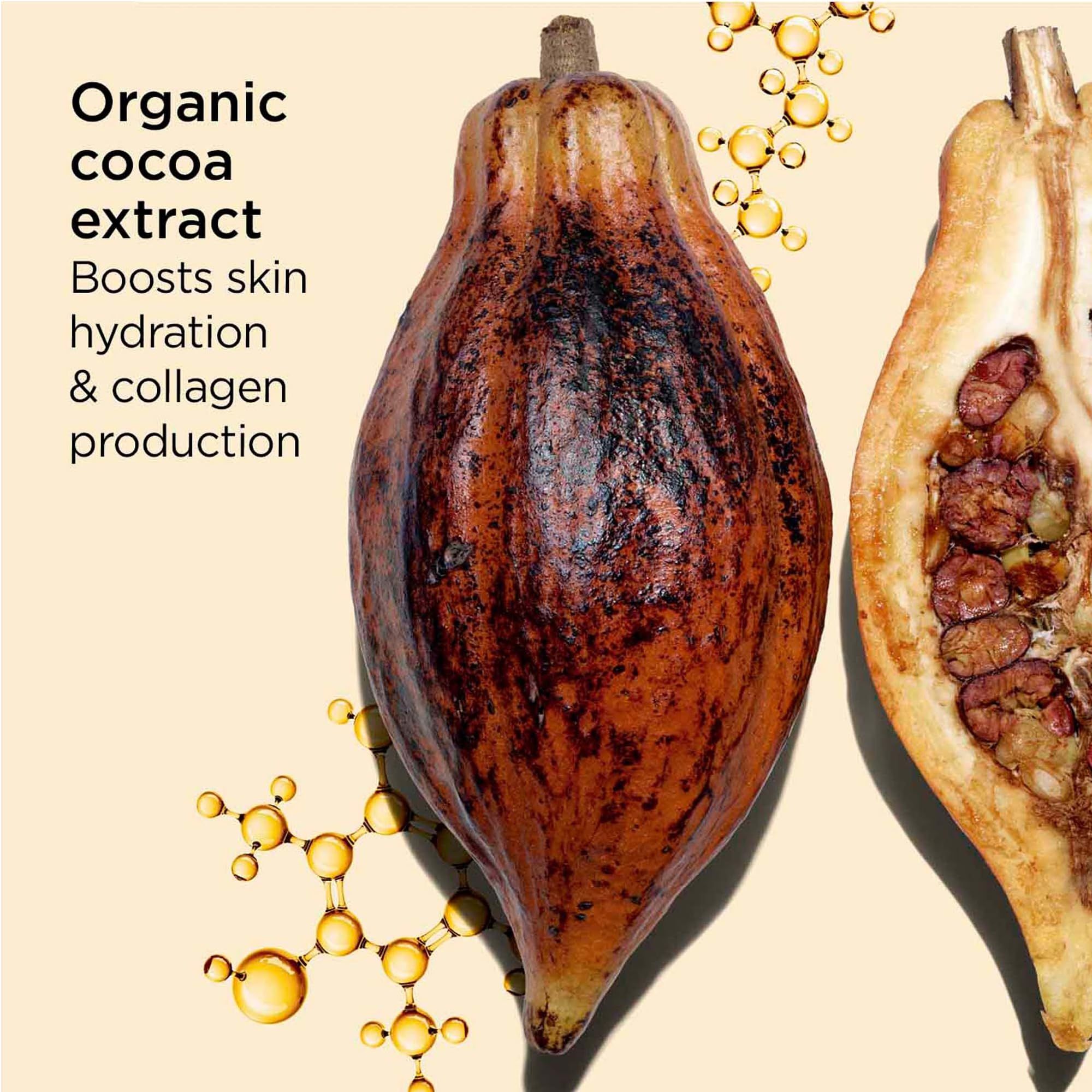 Zwei Kakaobohnen, eine aufgeschnitten. Text: Organic cocoa extract. Boosts skin hydration & collagen production.