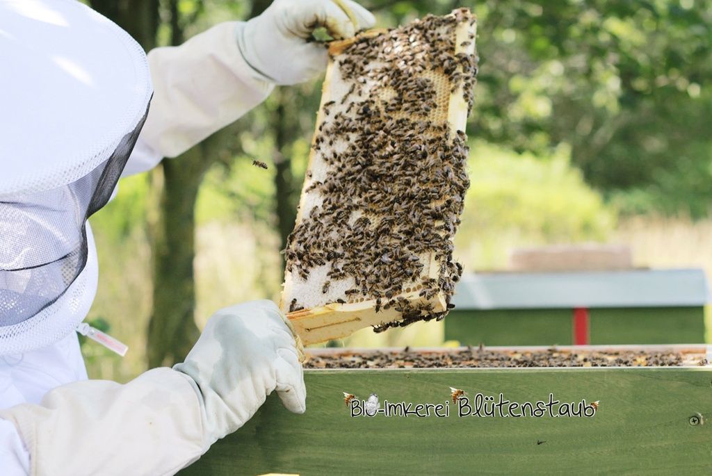 Bio Blütenhonig mit Akazie von Bio-Imkerei Blütenstaub