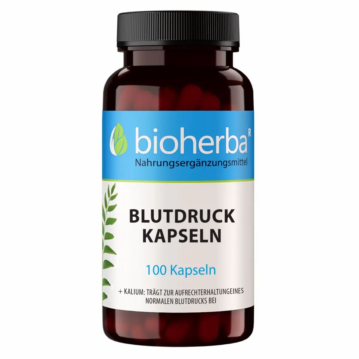 Braune Kapsel-Dose mit schwarzem Deckel. Etikett mit "bioherba" Logo, "Blutdruck Kapseln" und "100 Kapseln".