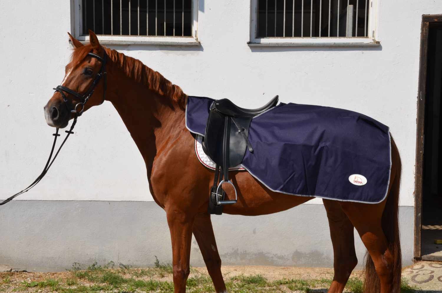 Braunes Pferd mit Sattel und dunkelblauer Decke. Logo AMKA auf der Decke.