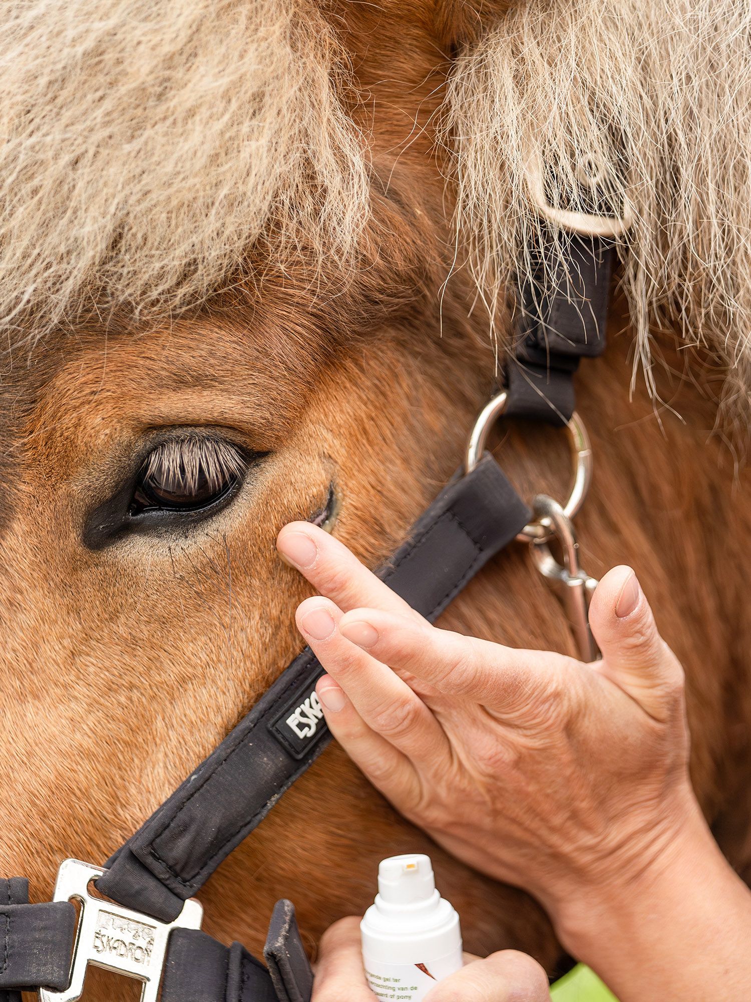 Doderm RepairGel Horse