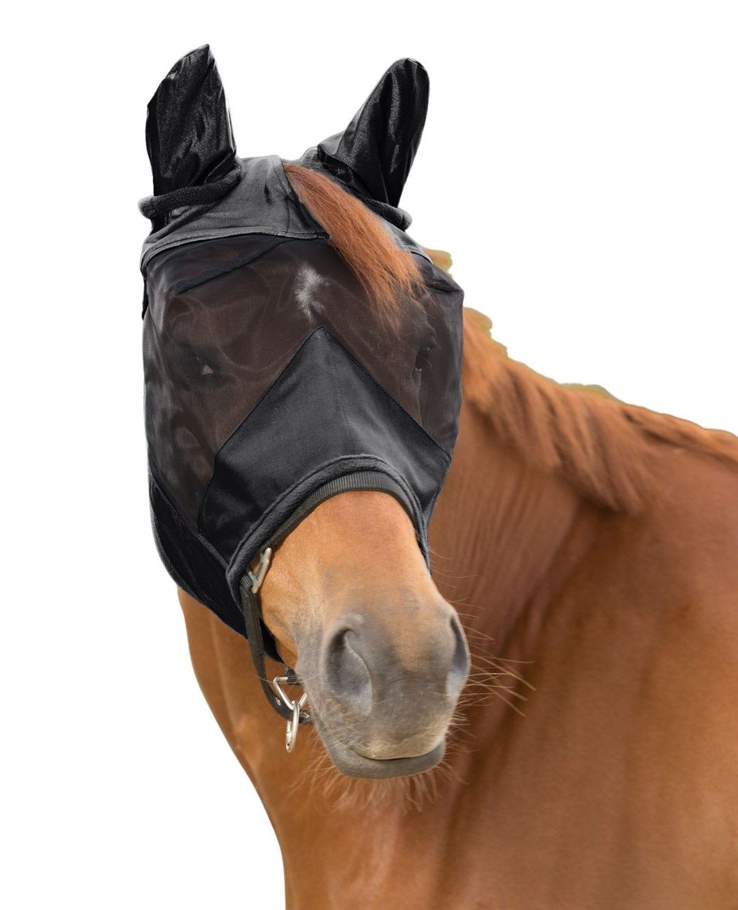 Schwarze Fliegenmaske am Pferdekopf. Netzmaterial, Ohrenschutz, Nasenriemen. Blick auf das Pferd.
