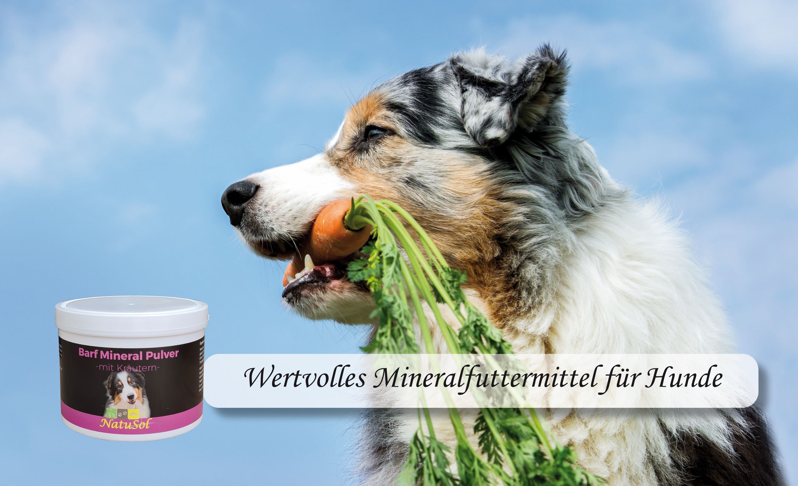NatuSol Barf Mineral Pulver für Hunde - Vitamin- und Mineralstoffausgleich