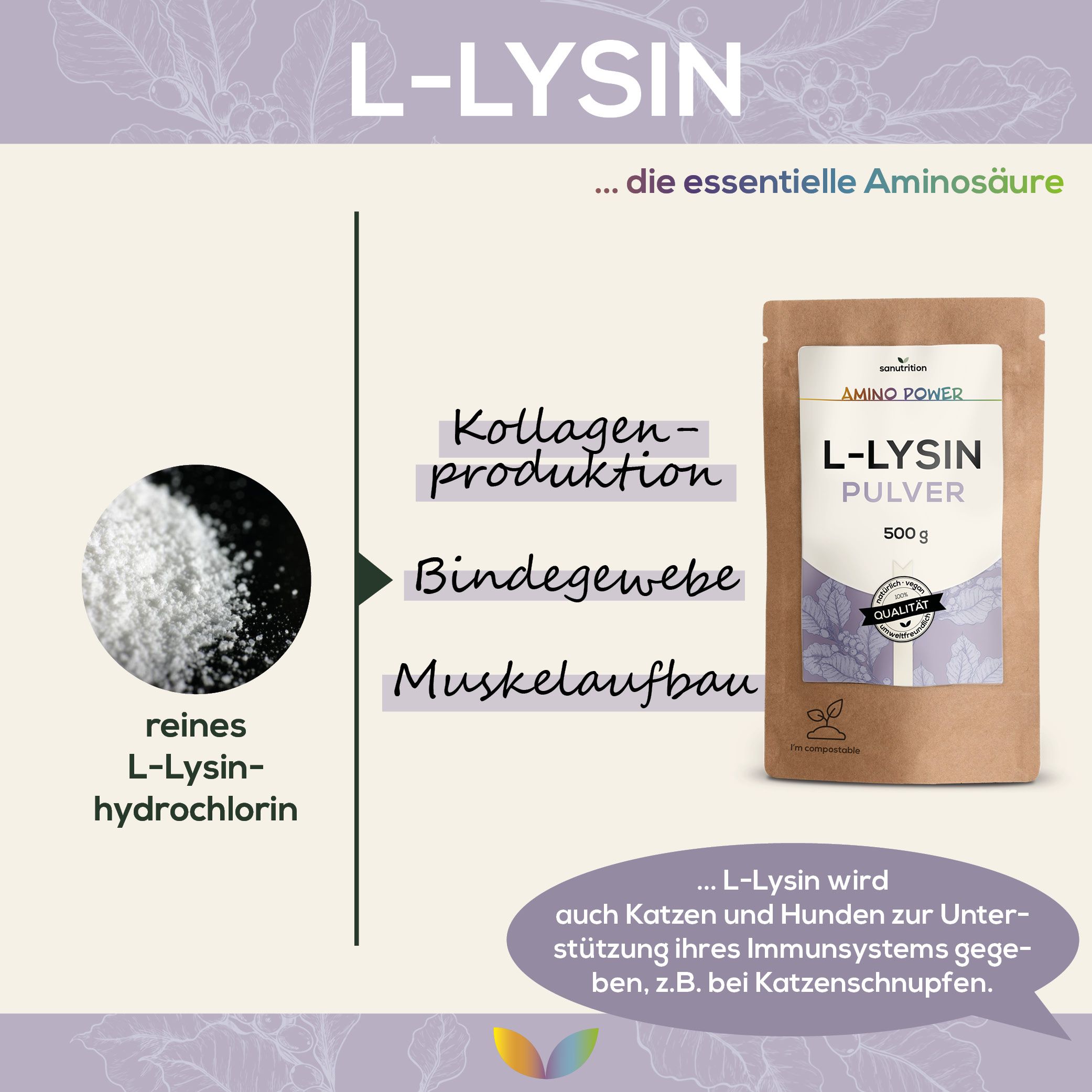 Produktabbildung: L-Lysin Pulver in brauner Verpackung. Daneben Text über Kollagenproduktion, Bindegewebe und Muskelaufbau.