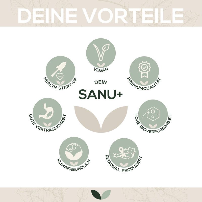 Kreisförmige Icons mit Texten: Vegan, Premiumqualität, gute Verträglichkeit, klimafreundlich, regional produziert, Home Bioverfügbarkeit, Health Start-up.